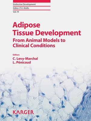 cover image of Adipose Tissue Development